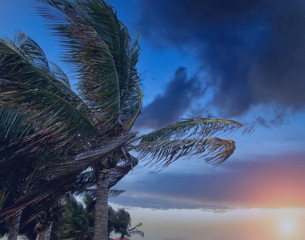 Hurricane Season 2022 Has Begun. Are You Prepared?